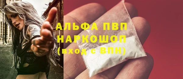 гашик Богданович