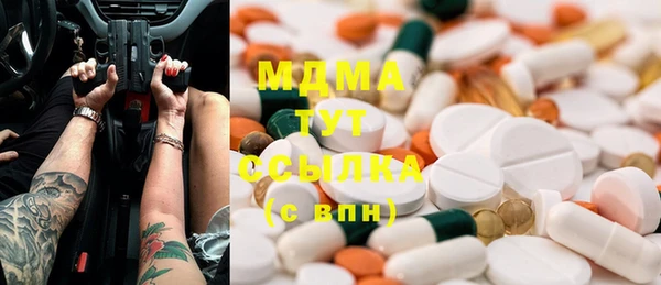 гашик Богданович