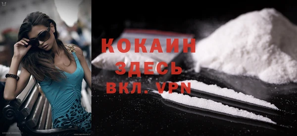 гашик Богданович