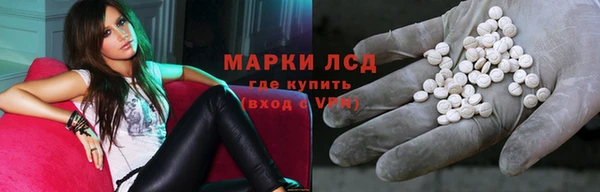 гашик Богданович