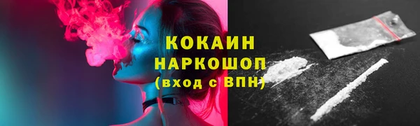 гашик Богданович