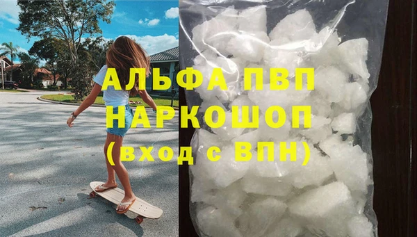 гашик Богданович