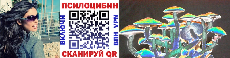 Купить  Юрюзань  Псилоцибиновые грибы Cubensis 